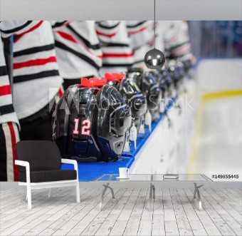 Picture of Hockey Team Lined up at bench during national anthem